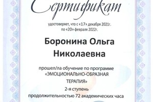 Диплом / сертификат №13 — Боронина Ольга Николаевна