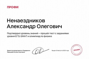 Диплом / сертификат №4 — Ненаездников Александр Олегович