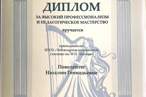 Диплом за высокий профессионализм и педагогическое мастерство, 2017 — Повелайтес Наталия Геннадьевна