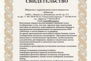 Диплом / сертификат №8 — Садеева Алеся Альбертовна