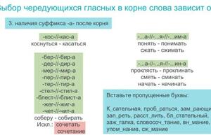 Уроки проходят дистанционно с использованием онлайн-доски. — Тимофеева Алена Владимировна