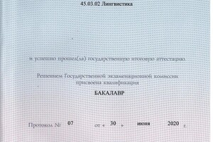 Диплом / сертификат №2 — Журман Алина Алексеевна