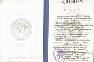 Диплом / сертификат №4 — Бервицкая Виктория Анатольевна