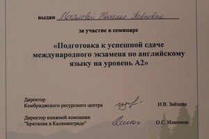 Диплом / сертификат №15 — Мочалова Наталья Павловна