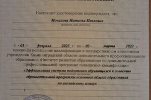 Диплом / сертификат №19 — Мочалова Наталья Павловна