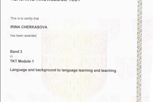 Диплом / сертификат №2 — Черкасова Ирина Вячеславовна