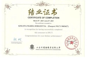 Диплом / сертификат №7 — Кислова Мария Сергеевна
