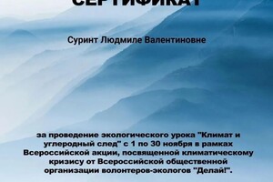 Диплом / сертификат №113 — Суринт Людмила Валентиновна