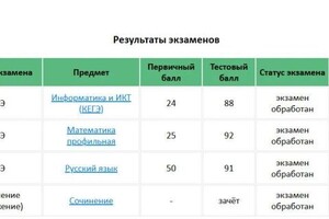 Диплом / сертификат №1 — Белорусова Эльвина Сергеевна