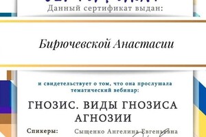 Диплом / сертификат №11 — Бирючевская Анастасия Владимировна