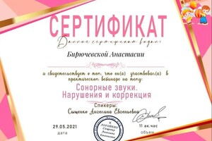 Диплом / сертификат №17 — Бирючевская Анастасия Владимировна