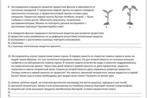 Портфолио №15 — Елизарова Ксения Евгеньевна