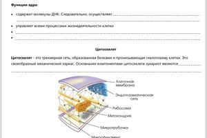 Так выглядят конспекты. Яркие, с большим количеством картинок, таблиц и схем! Конспекты - необходимость, так как для... — Елизарова Ксения Евгеньевна