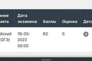 ОГЭ-2022: Карима - 62 балла - \