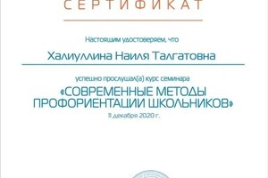 Диплом / сертификат №12 — Халиуллина Наиля Талгатовна