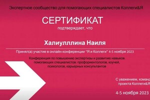 Диплом / сертификат №13 — Халиуллина Наиля Талгатовна