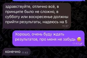 Подготовка к ОГЭ по химии с нуля и полного непонимания до 5ки и любви к предмету за год! — Хузеева Элина Азатовна