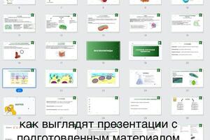 Наглядно как выглядят презентации , pdf файлы с теоретической информацией для подготовки к ЕГЭ — Исмагилова Дарья Сергеевна