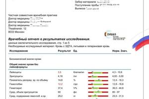 Перевод результатов анализа с немецкого языка — Калимуллин Радик Шавкатович