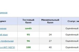 Диплом / сертификат №2 — Камлев Виталий Геннадьевич