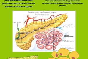 Портфолио №3 — Князева Мария Сергеевна