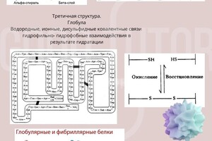 Портфолио №5 — Князева Мария Сергеевна