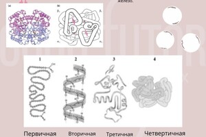 Портфолио №6 — Князева Мария Сергеевна