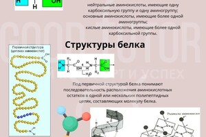 Портфолио №7 — Князева Мария Сергеевна