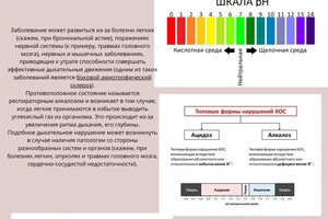 Материалы для подготовки к ЕГЭ — Князева Мария Сергеевна