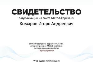 Свидетельство об окончании обучения — Комаров Игорь Андреевич