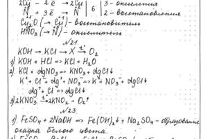 Работа выполнена на 40/40 — Новодворская Елена Александровна