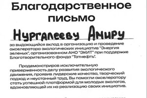 Диплом / сертификат №1 — Нургалеев Амир Ринатович