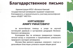 Диплом / сертификат №2 — Нургалеев Амир Ринатович