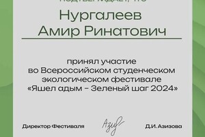 Диплом / сертификат №3 — Нургалеев Амир Ринатович