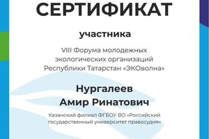 Диплом / сертификат №6 — Нургалеев Амир Ринатович