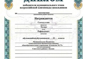 Диплом / сертификат №4 — Сагидуллин Эдуард Рафаилевич