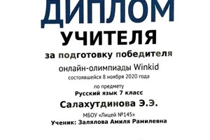 Диплом / сертификат №11 — Салахутдинова Элина Эрнстовна