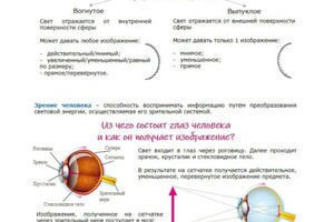 Портфолио №4 — Селиванова Диана Руслановна