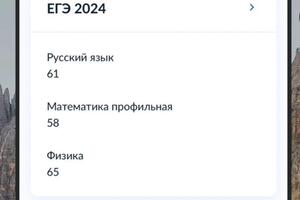 Подготовка русский язык/математика ЕГЭ за 2 недели — Сергеева Анастасия Петровна