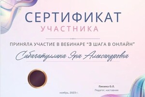 Диплом / сертификат №3 — Сибагатуллина Яна Александровна