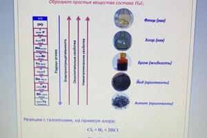 пример урока Галогены.jpg — Трескова Вера Игоревна