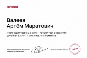 Диплом / сертификат №3 — Валеев Артём Маратович