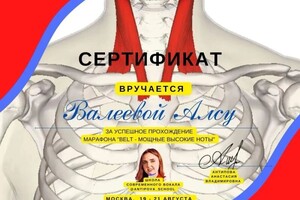 Диплом / сертификат №9 — Валеева Алсу Рифкатовна