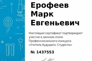 Диплом / сертификат №6 — Ерофеев Марк Евгеньевич