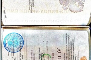 Диплом / сертификат №3 — Максимова Ольга Владимировна