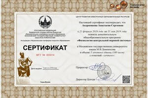 Диплом / сертификат №4 — Андреенкова Анастасия Сергеевна