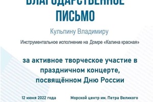 Диплом / сертификат №59 — Кульпин Владимир Владимирович