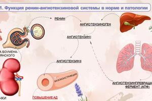 3. Презентация к защите учебного проекта — Малинина Екатерина Владимировна