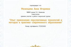 Сертификат — Мезенцева Анна Игоревна