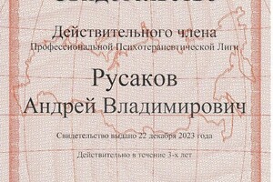 Диплом / сертификат №29 — Русаков Андрей Владимирович